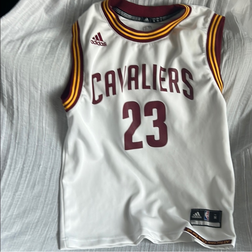 Adidas Authentic Cleveland Cavaliers LeBron James (23) Kids Jersey (Medium)
